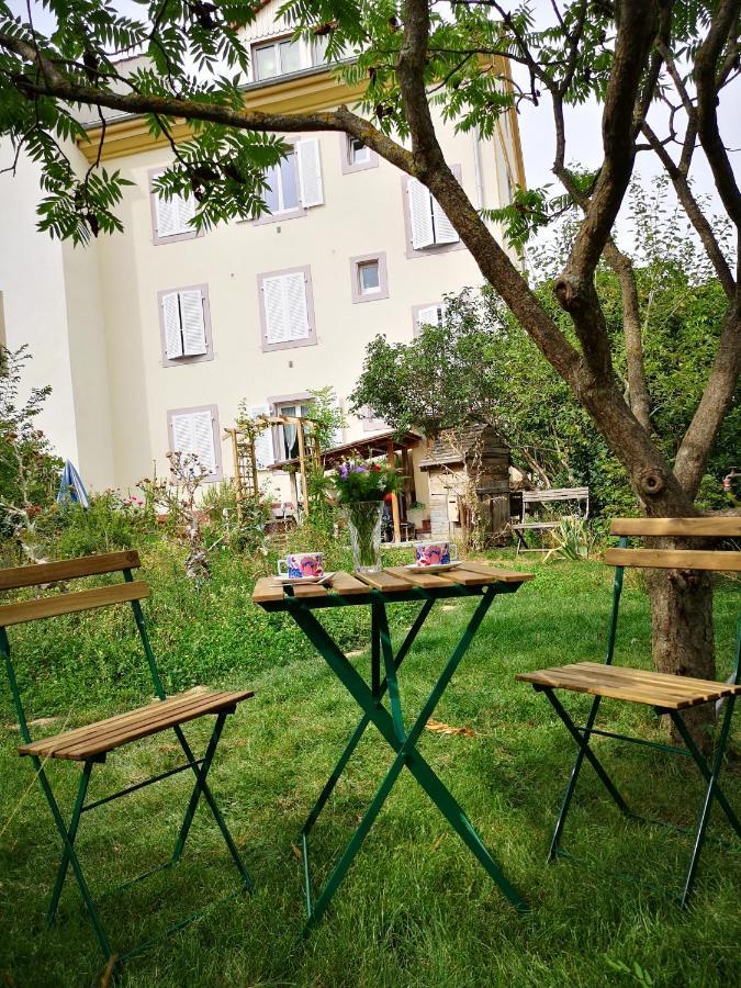 Combles et Vous, Duplex T6 Colmar, Famille, ALL INCLUSIVE, Jardin&Parking vélos Esterno foto