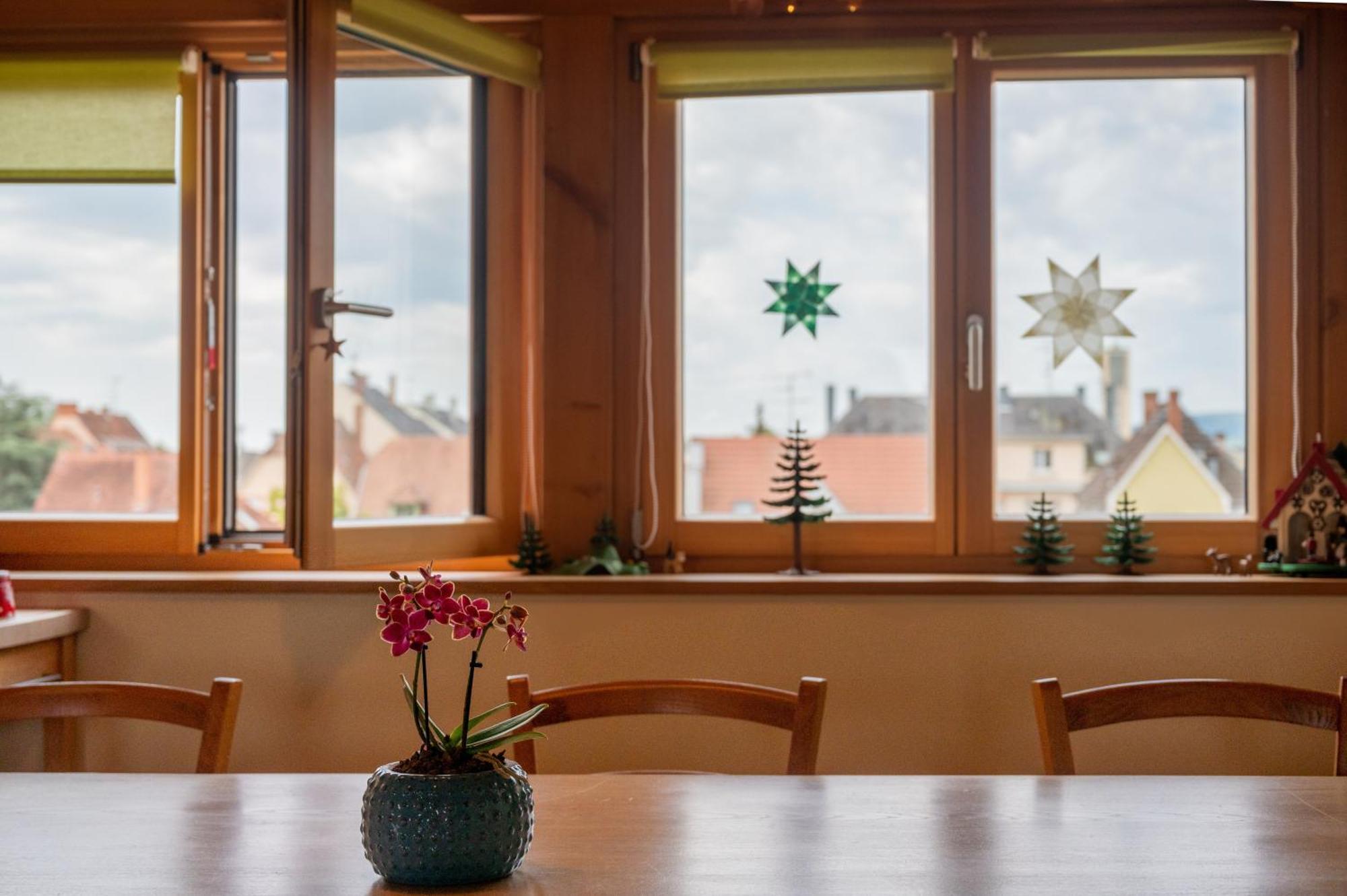 Combles et Vous, Duplex T6 Colmar, Famille, ALL INCLUSIVE, Jardin&Parking vélos Esterno foto