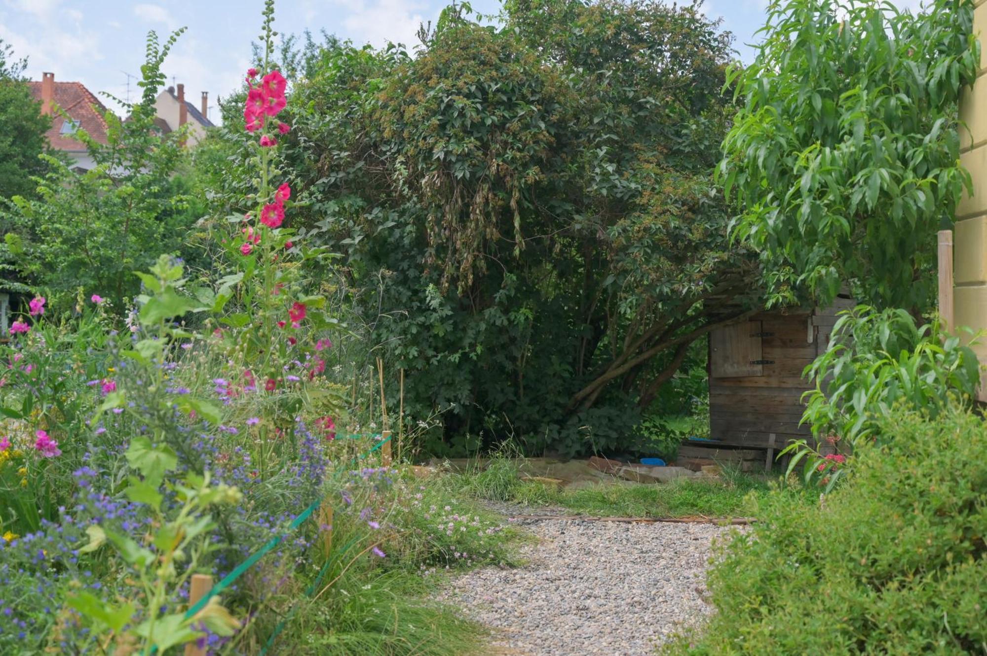 Combles et Vous, Duplex T6 Colmar, Famille, ALL INCLUSIVE, Jardin&Parking vélos Esterno foto
