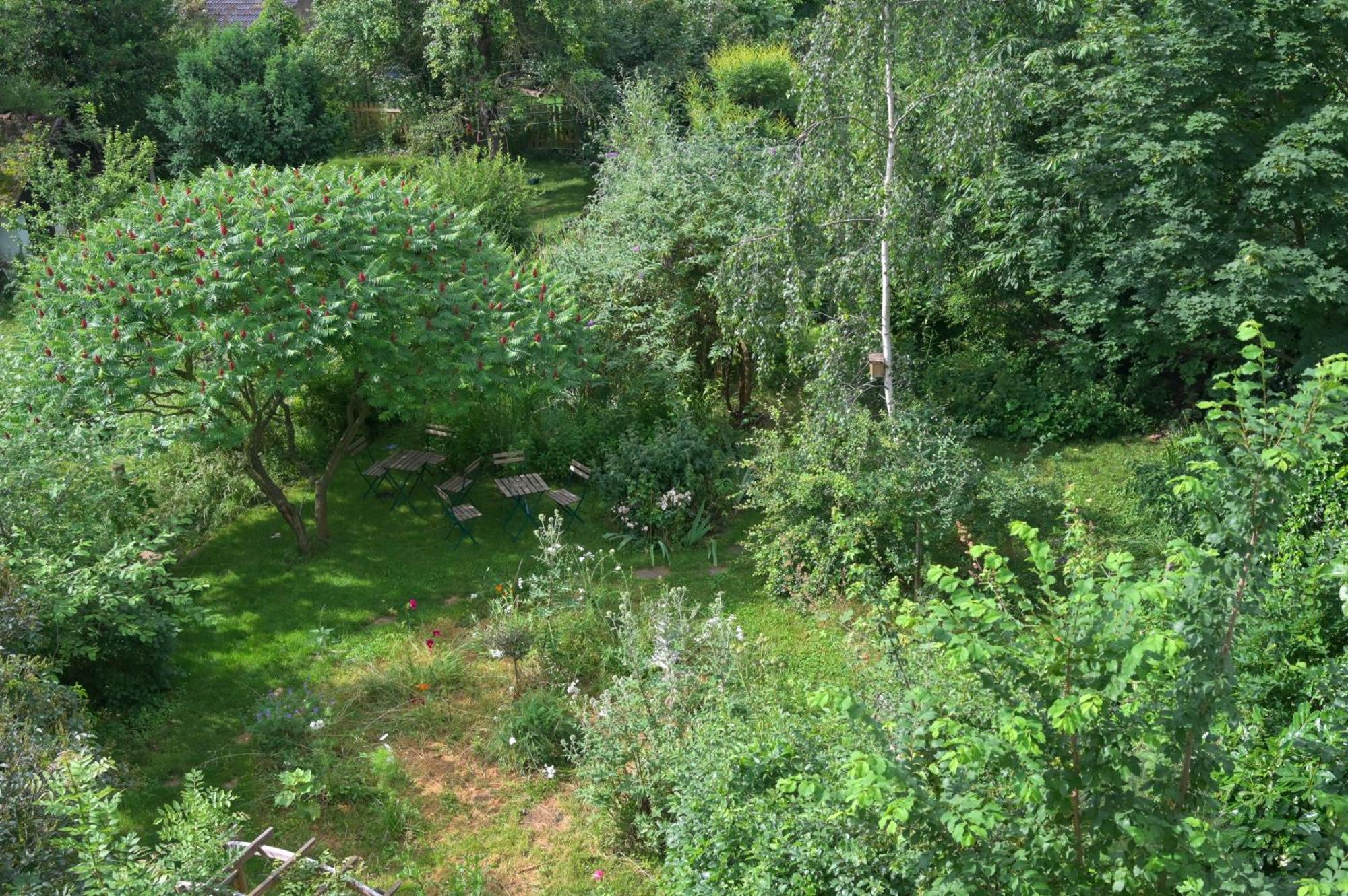 Combles et Vous, Duplex T6 Colmar, Famille, ALL INCLUSIVE, Jardin&Parking vélos Esterno foto