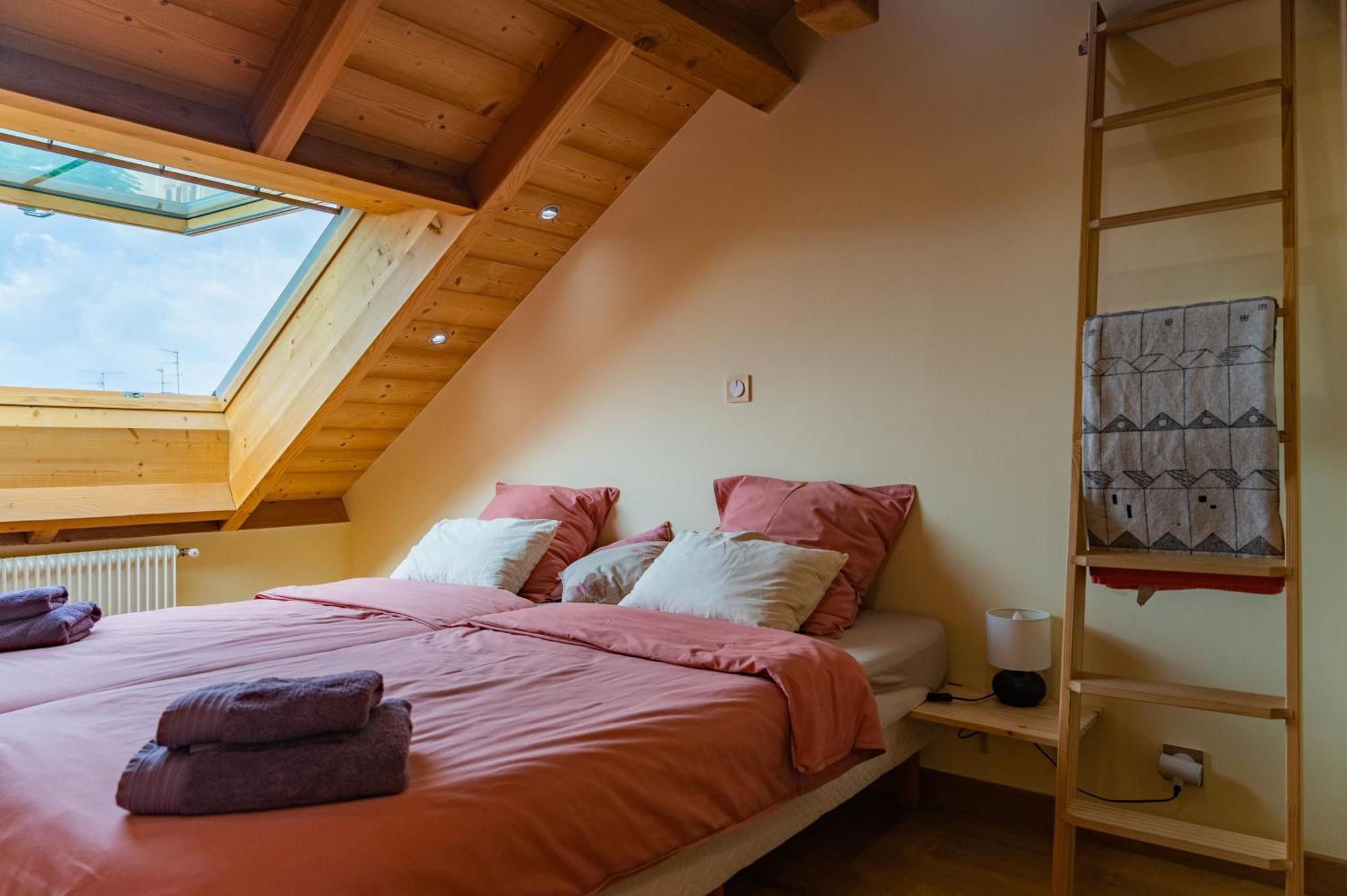 Combles et Vous, Duplex T6 Colmar, Famille, ALL INCLUSIVE, Jardin&Parking vélos Esterno foto